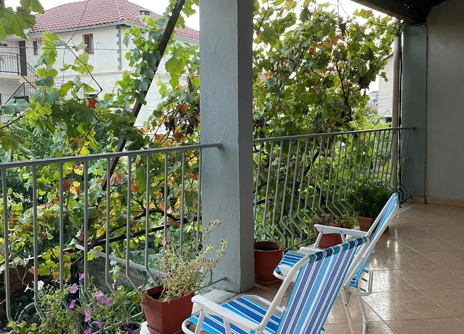 Guest House Rreli Shkoder